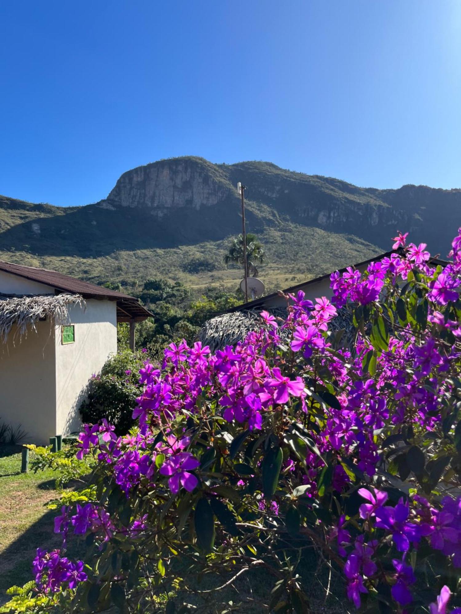 Pousada Rancho Dos Ipes Alto Paraiso de Goias Ngoại thất bức ảnh